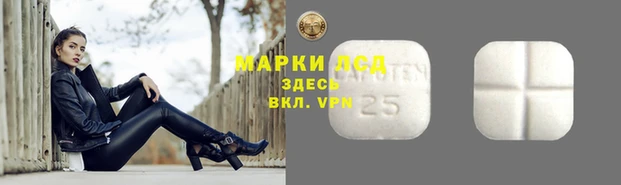 стаф Волосово