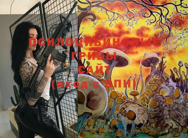 дживик Касимов