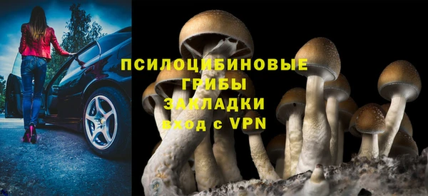 стаф Волосово