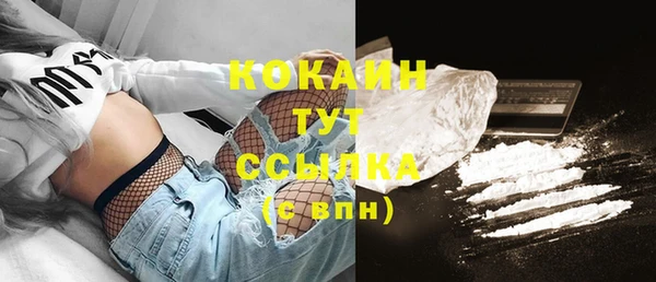стаф Волосово