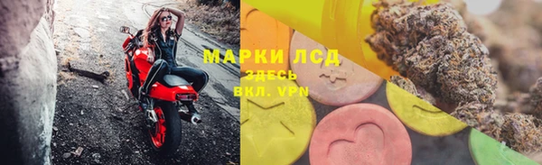стаф Волосово