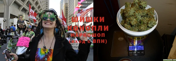 стаф Волосово