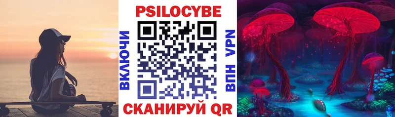 Псилоцибиновые грибы прущие грибы Далматово